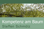 Lech Gr&uuml;n Diessen Baumf&auml;llung Baumpflege Baumschnitt
