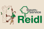 Reidl Greifenberg Baumf&auml;llung Baumpflege Wurzelstockfr&auml;sen